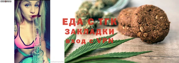 гидра Богородск