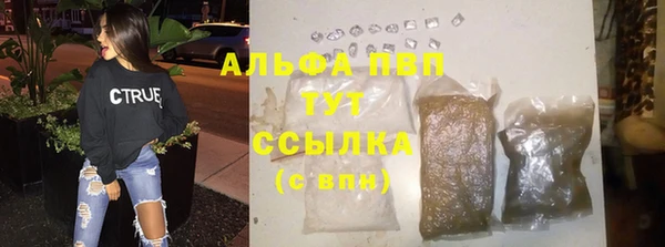 гидра Богородск