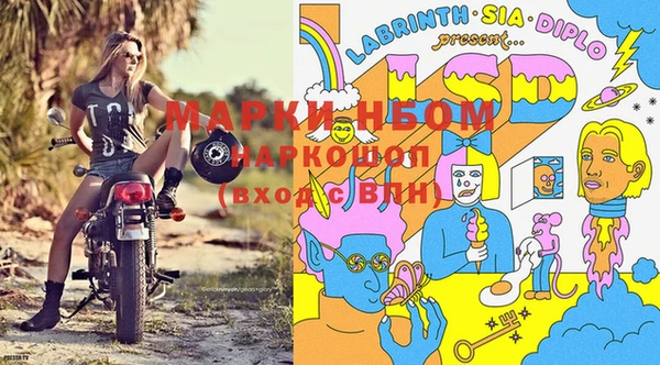 круглые Белокуриха