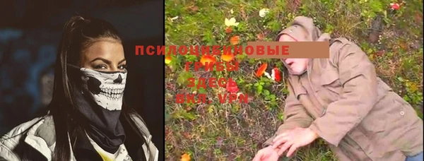 гидра Богородск