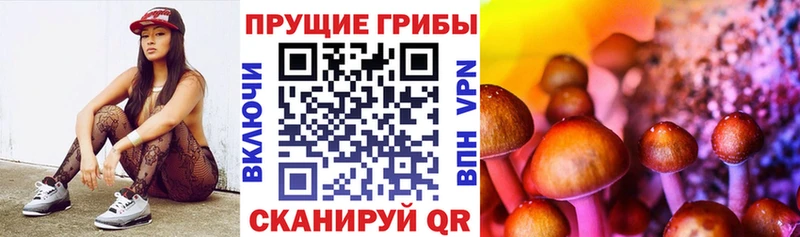 купить закладку  Белый  Галлюциногенные грибы мухоморы 